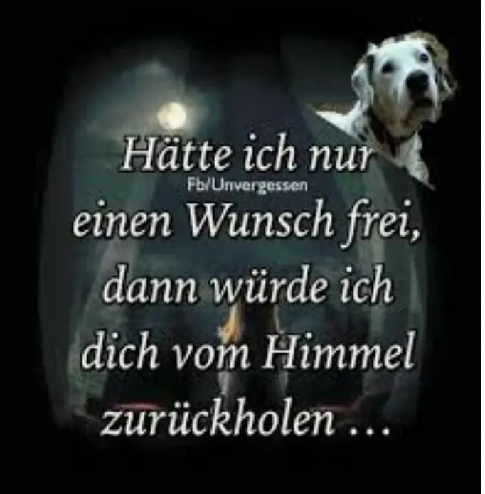 Condolence image of Für Odin in liebe Deine Mama ♡