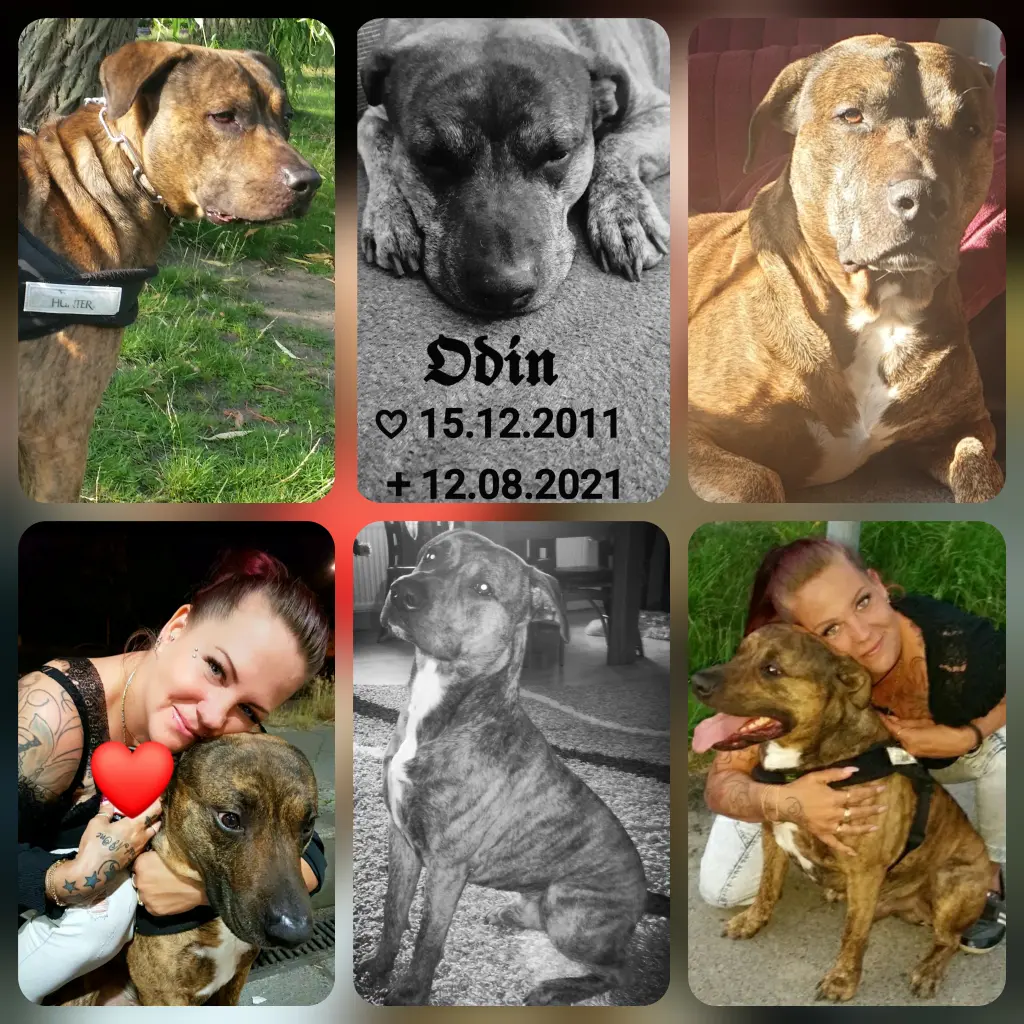 Image from Odin