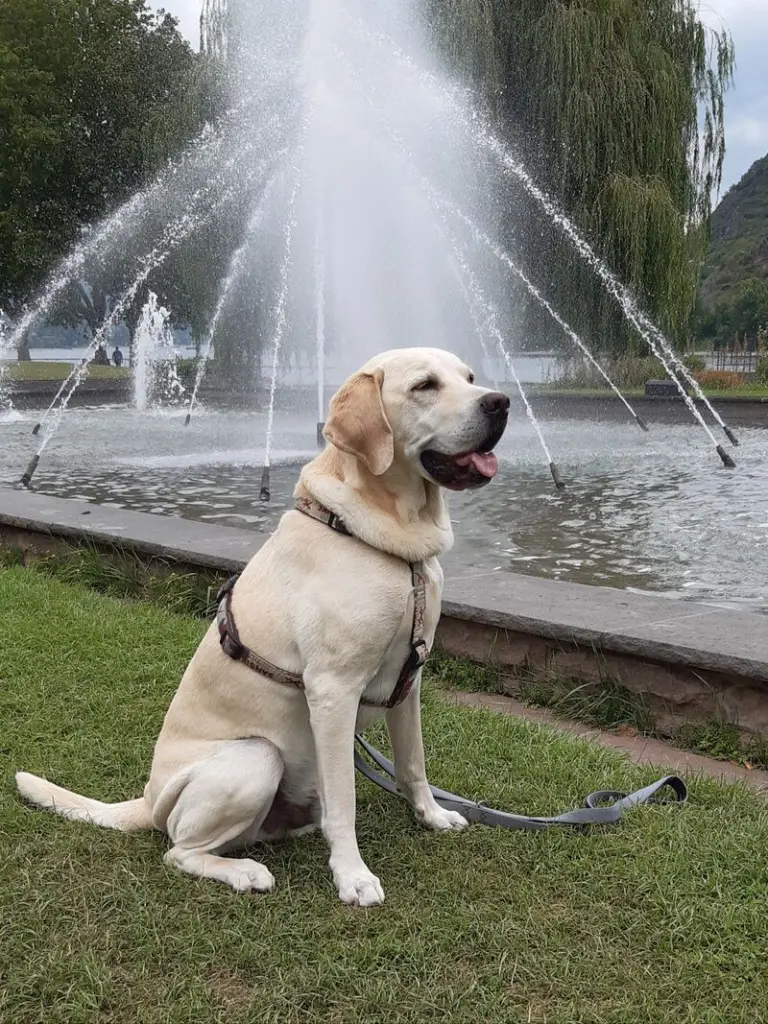 Andachtsbild von Andrea