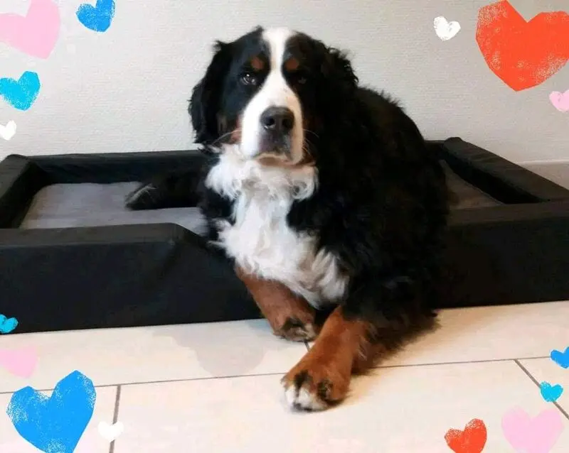 Andachtsbild von Barbara