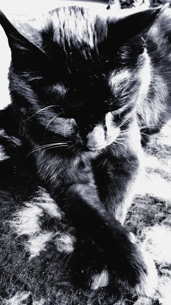 Andachtsbild von Sandra