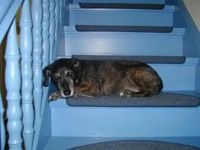 Bild von Susi