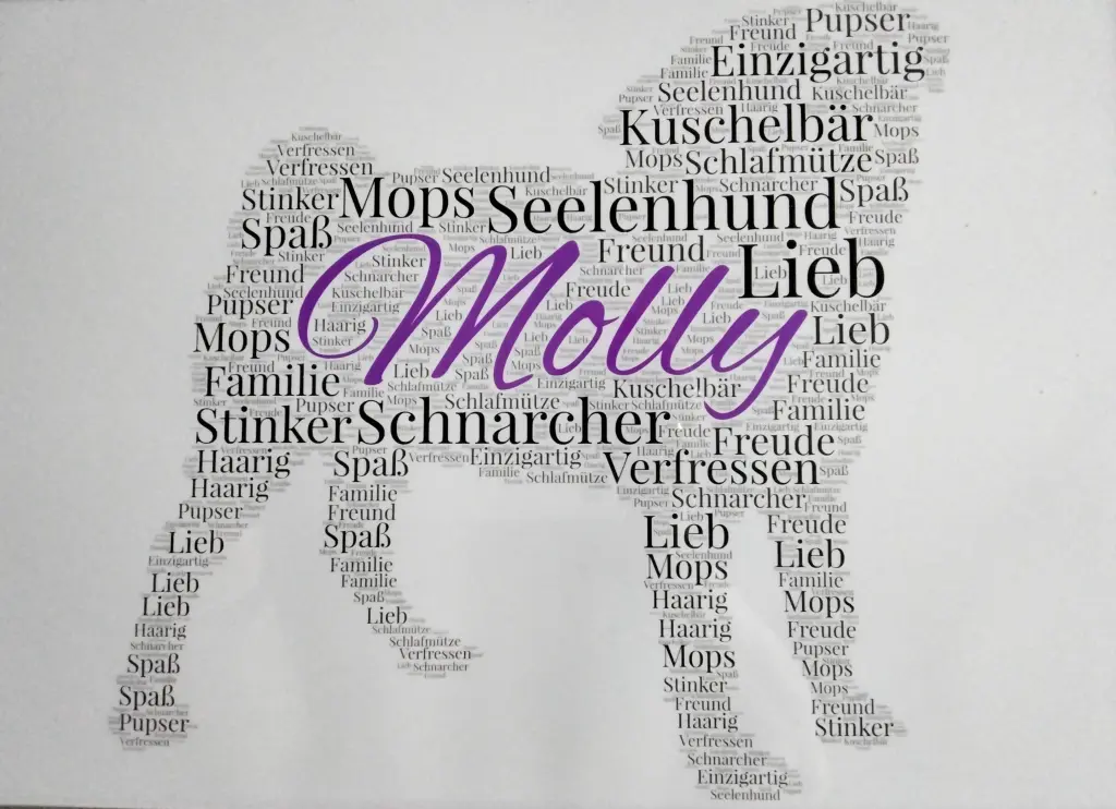 Image from Molly