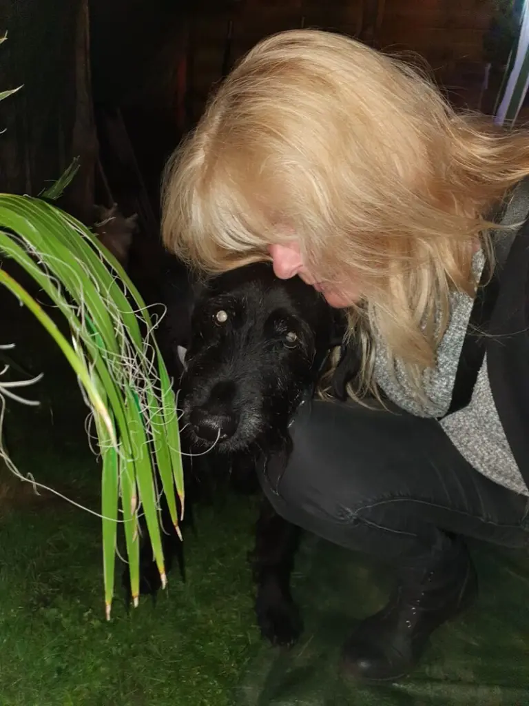 Condolence image of Linda Hebestadt 