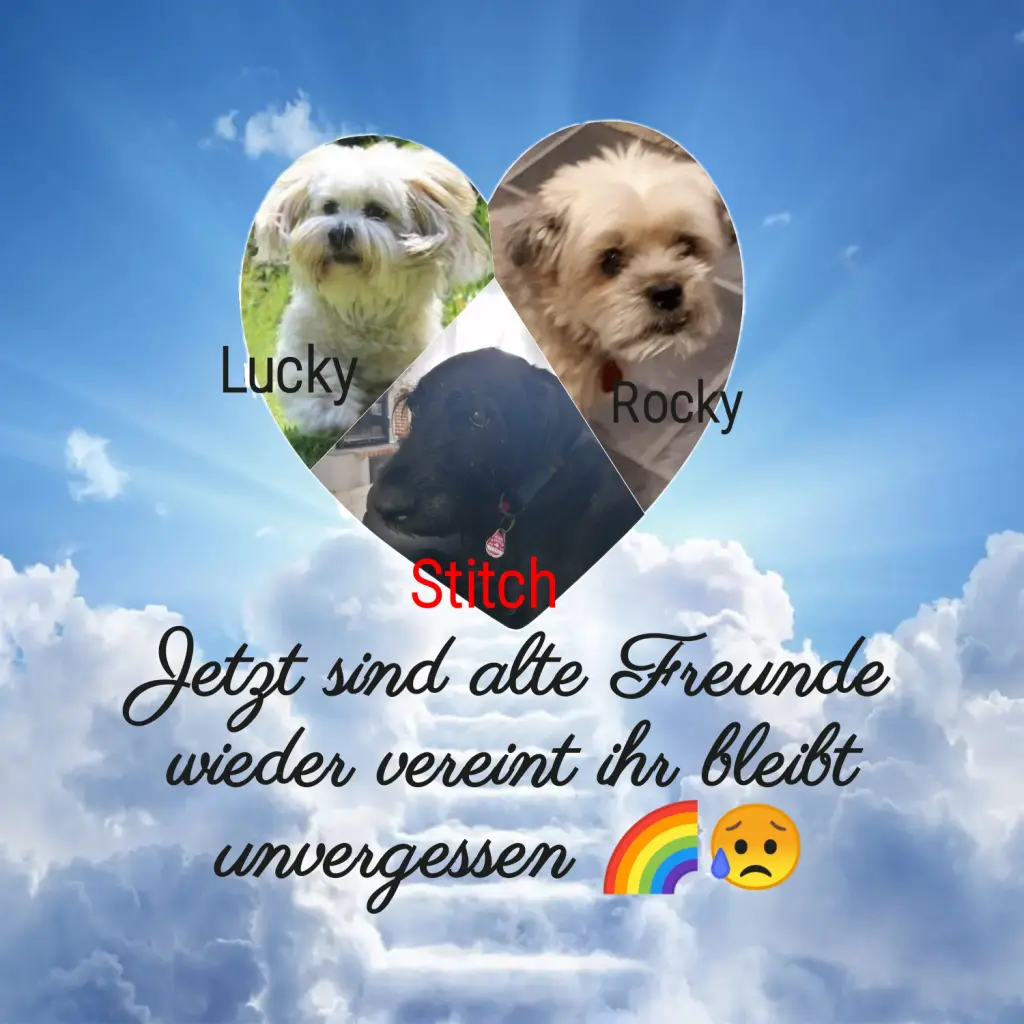 Condolence image of Deine Mama