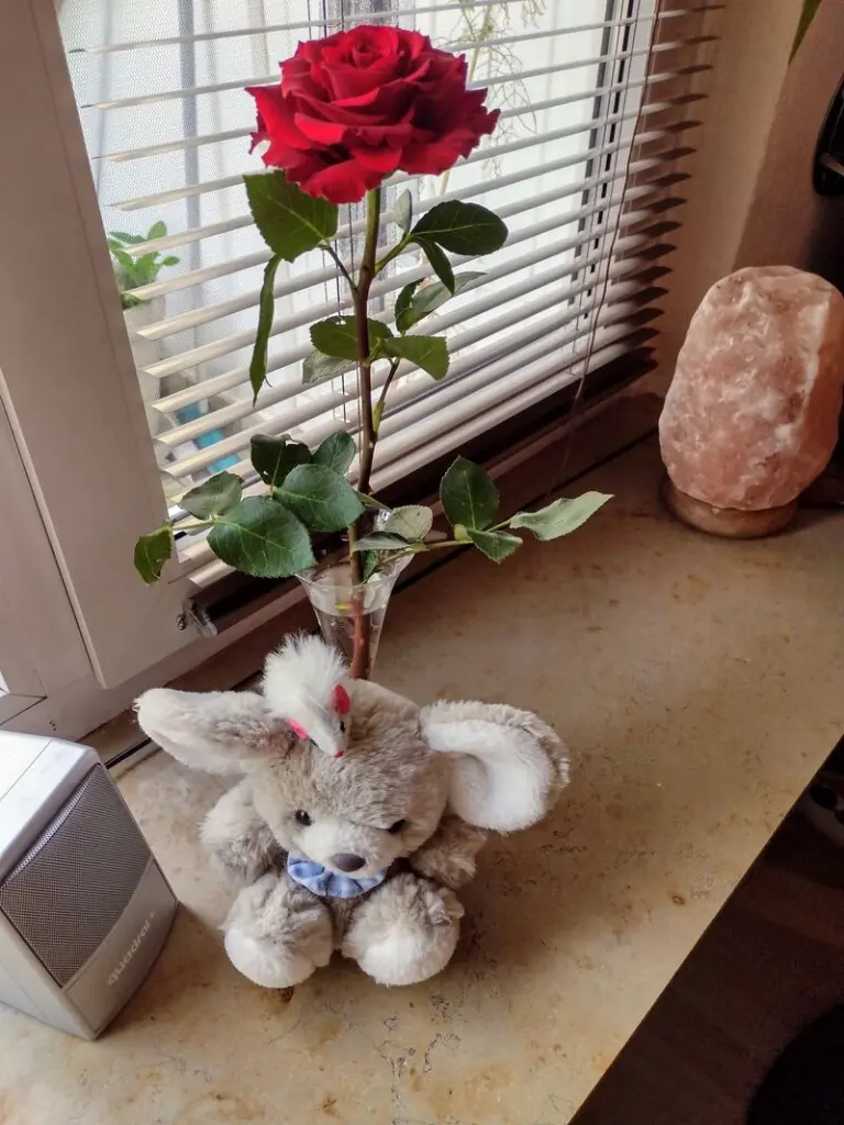Condolence image of Ronald