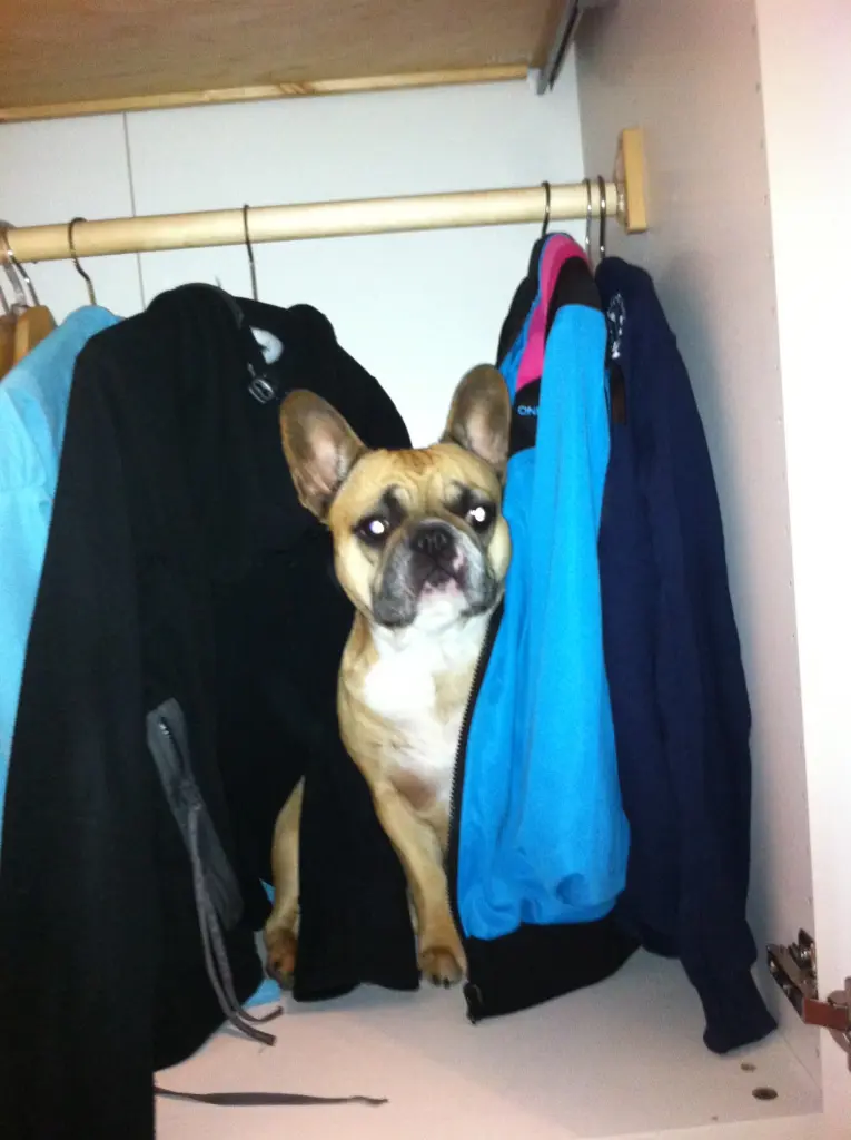 Image from Amy