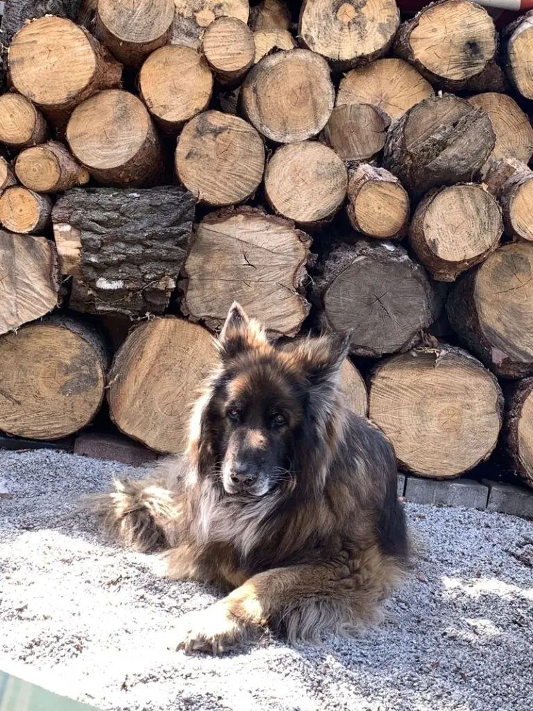 Andachtsbild von Für Emma ❤️❤️