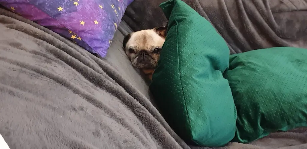 Bild von Emma