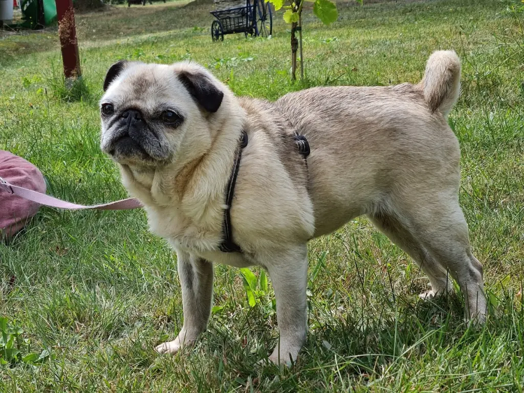 Bild von Emma