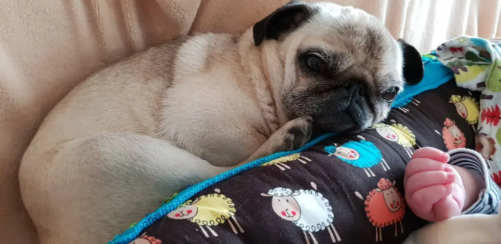 Bild von Emma