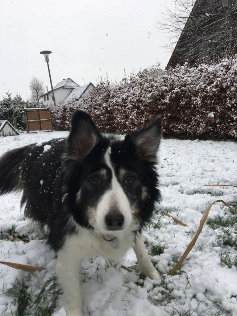 Image from Ronja