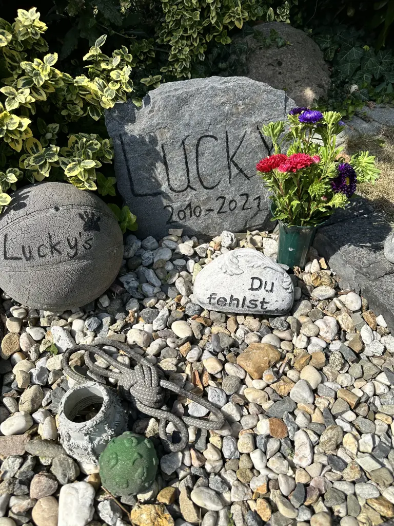 Condolence image of Für dich Lucky