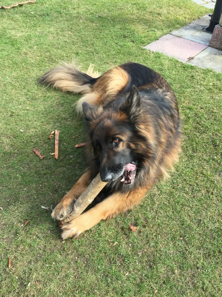 Image from Lucky