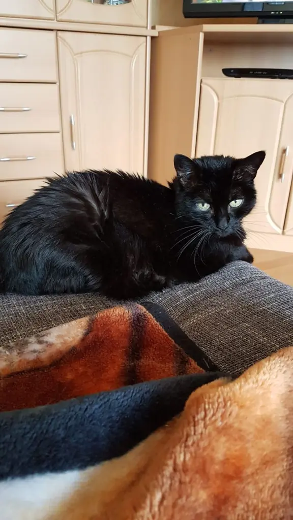 Andachtsbild von Heike und Sandy