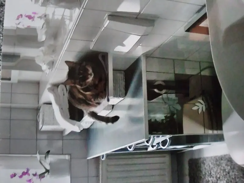 Andachtsbild von Für meinen allerliebsten kleinen Schatz ♥️