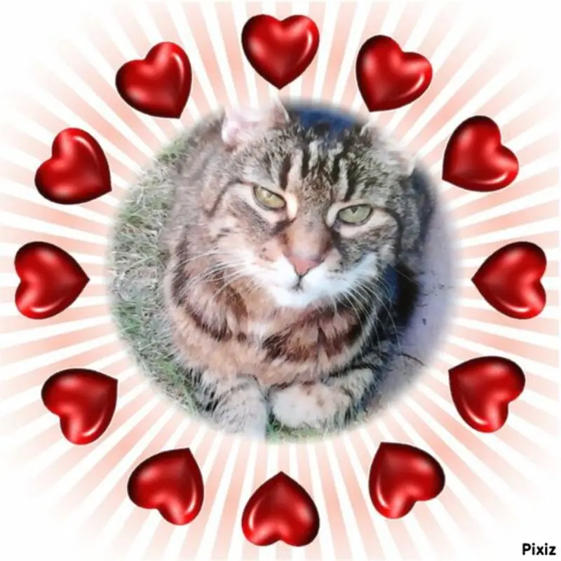 Andachtsbild von Für meinen kleinen Sonnenschein ❤️