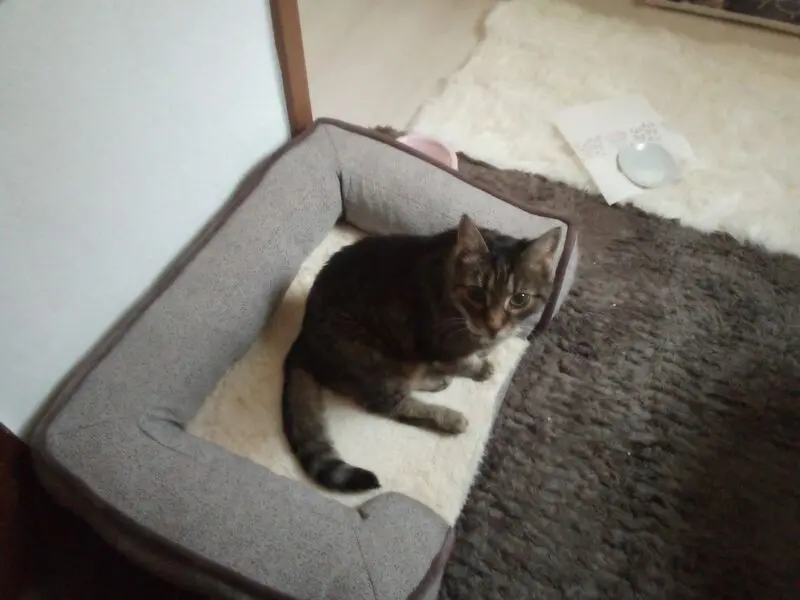 Andachtsbild von Für meinen allerliebsten kleinen Schatz ♥️