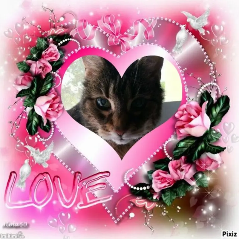 Andachtsbild von Timmys Mutti Tanja an Sisi und Mami Netti