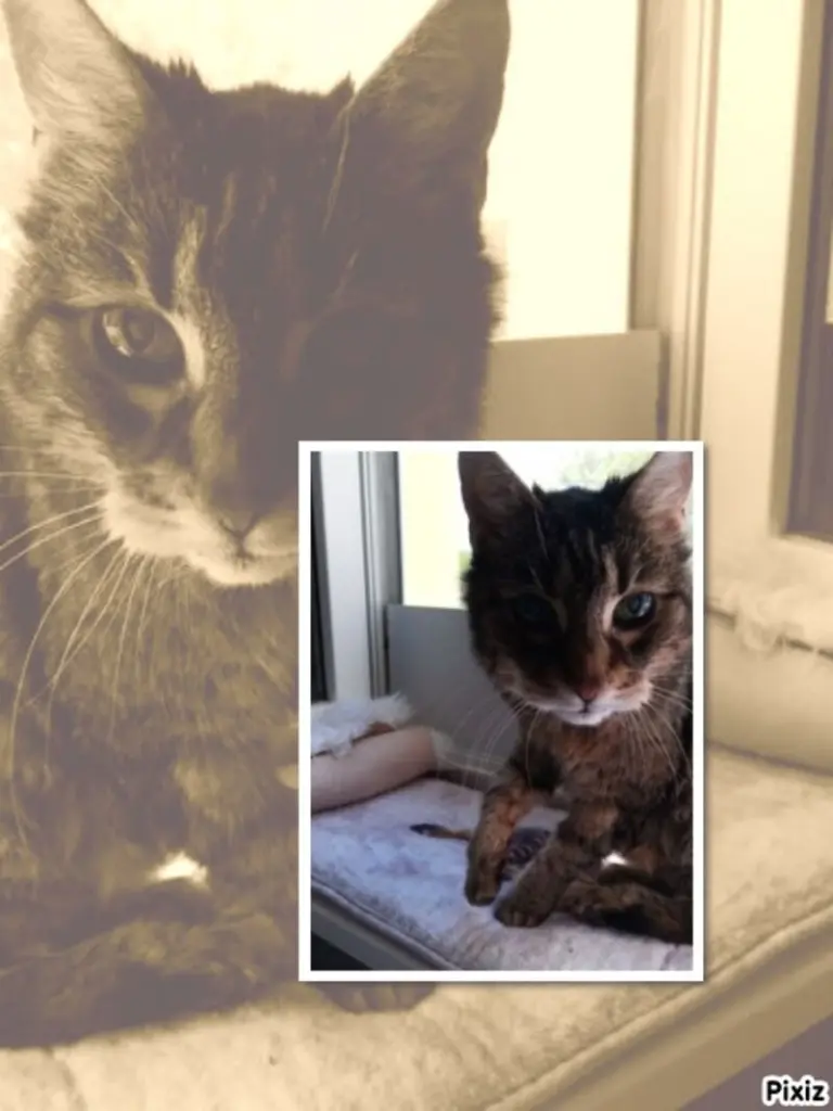 Andachtsbild von Sternchenpost ⭐