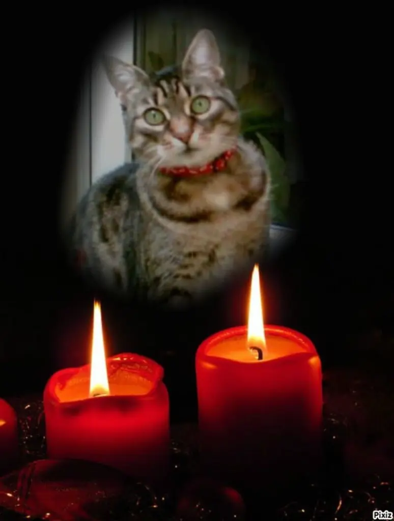 Andachtsbild von Tanja mit Timmy im Herzen 