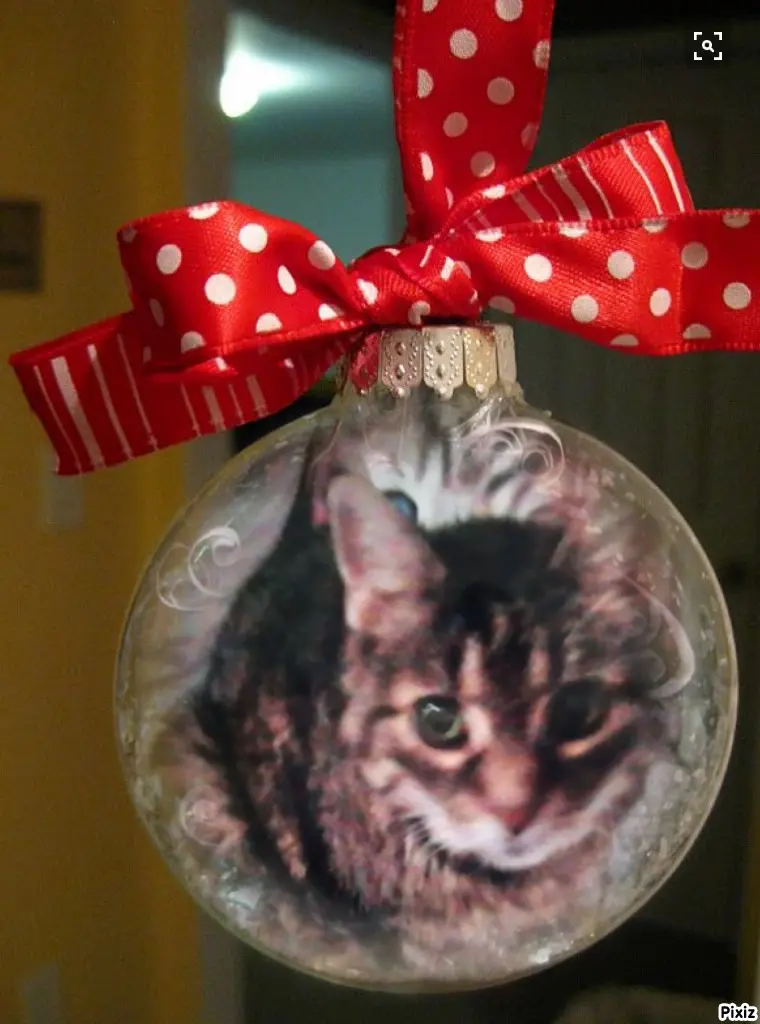 Andachtsbild von Für meinen kleinen Sonnenschein ❤️