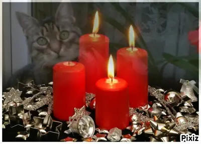 Andachtsbild von Tanja mit Timmy im Herzen