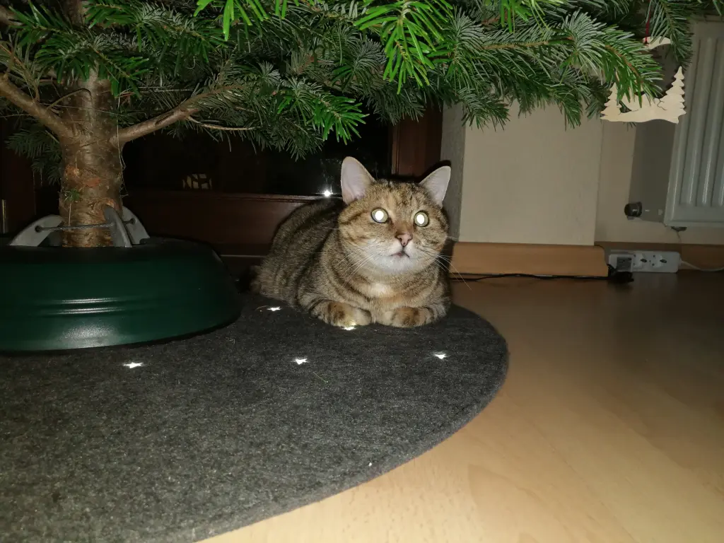 Andachtsbild von für Sisi ♥️ und Lissy ♥️