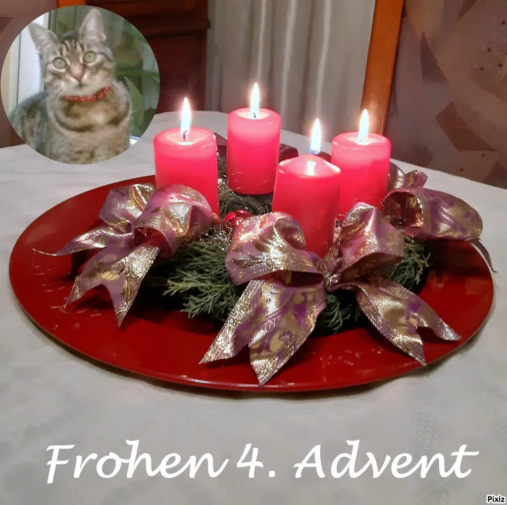 Andachtsbild von Tanja mit Timmy im Herzen