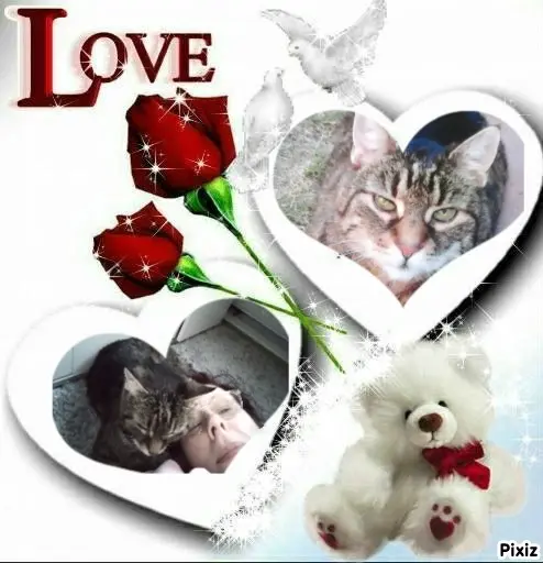 Andachtsbild von Für meine kleine Puppi ❤️