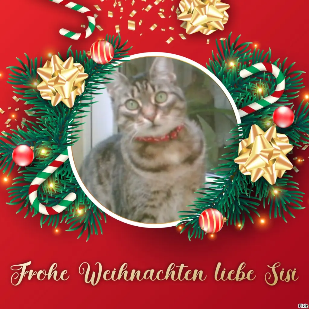 Andachtsbild von Tanja mit Timmy im Herzen