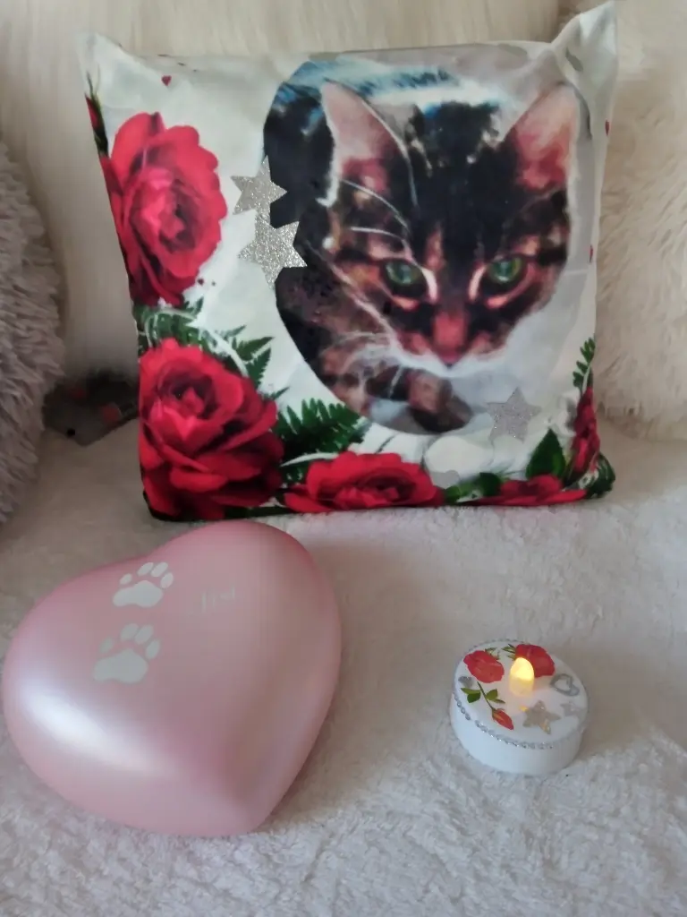 Andachtsbild von Für meinen kleinen Sonnenschein ❤️