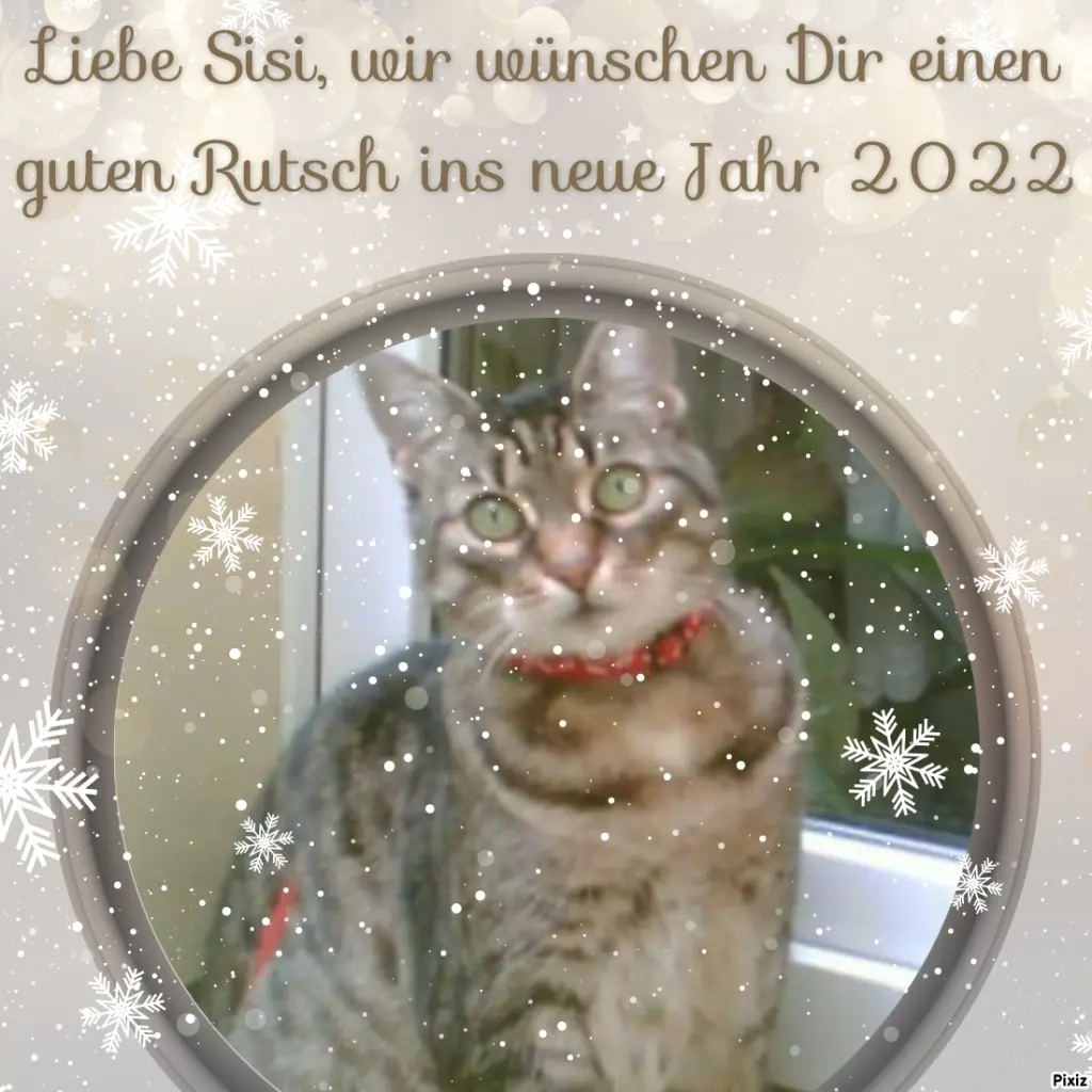 Andachtsbild von Tanja mit Timmy im Herzen