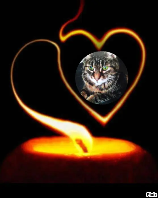 Andachtsbild von Für meine liebste Sisi❤️