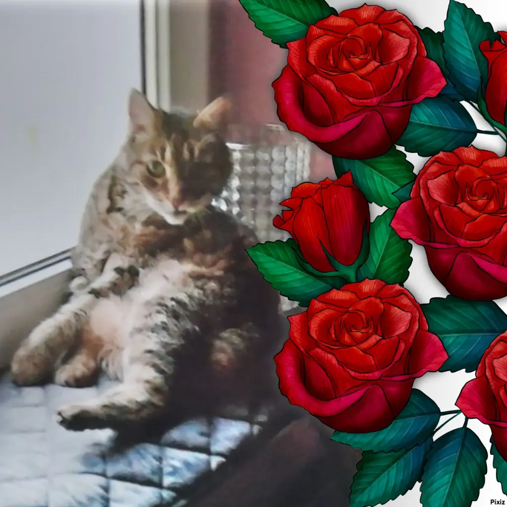 Andachtsbild von Sternchenpost ⭐