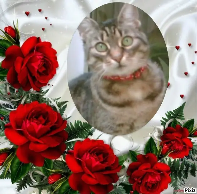 Andachtsbild von Tanja mit Timmy im Herzen 