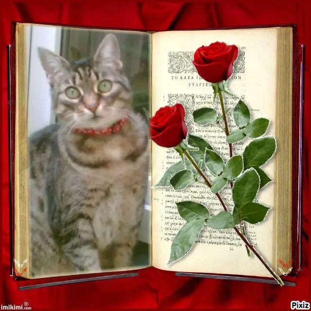 Andachtsbild von Tanja mit Timmy im Herzen 