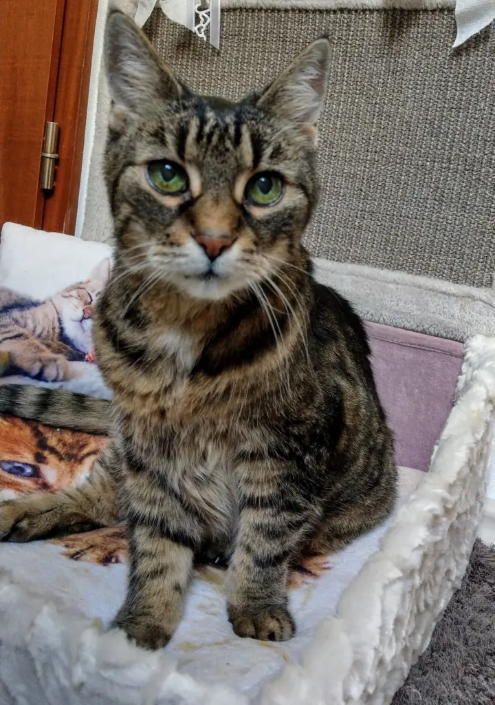 Andachtsbild von Für's Sonnele ❤️