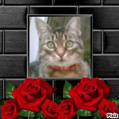 Andachtsbild von Tanja mit Timmy im Herzen