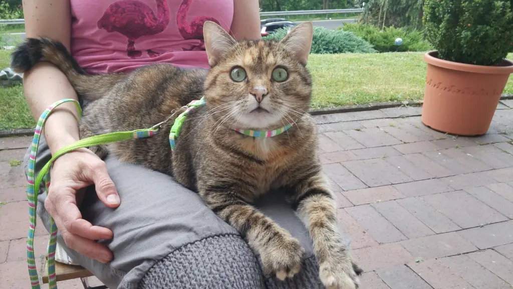 Andachtsbild von Daniela für Sisi, Lissy und Mama Jeannette