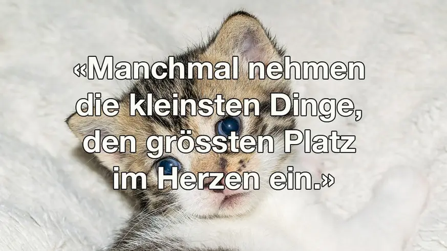 Andachtsbild von Elisabeth mit Marple im ♥