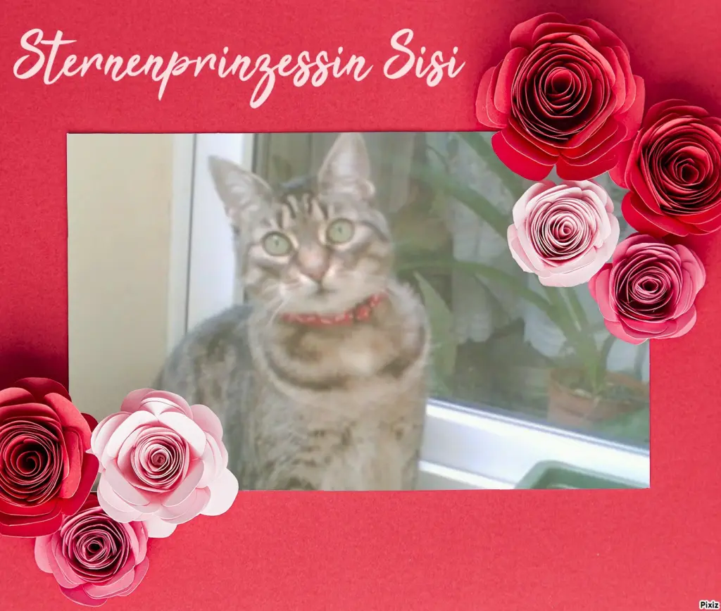 Andachtsbild von Tanja mit Timmy im Herzen 