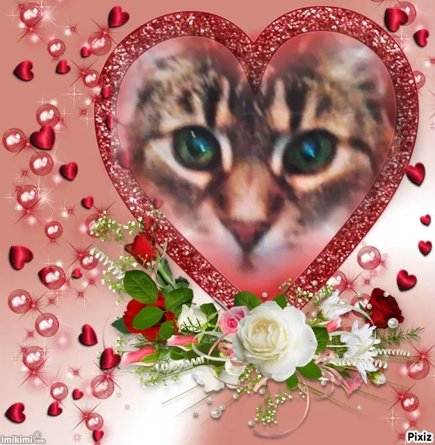 Andachtsbild von Für meinen allerliebsten kleinen Schatz ♥️