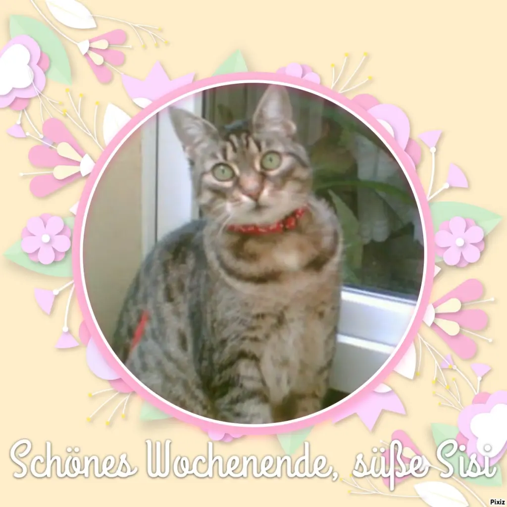 Andachtsbild von Tanja mit Timmy im Herzen 