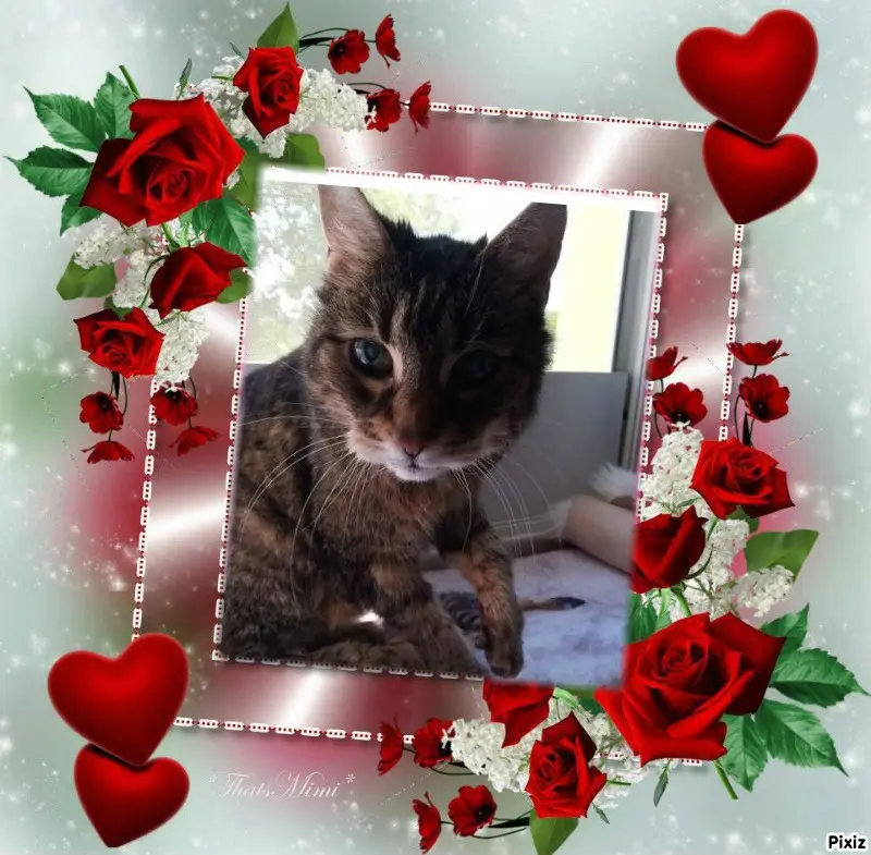 Andachtsbild von Sternchenpost ⭐