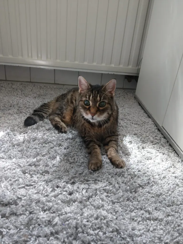 Andachtsbild von ❤️❤️❤️❤️