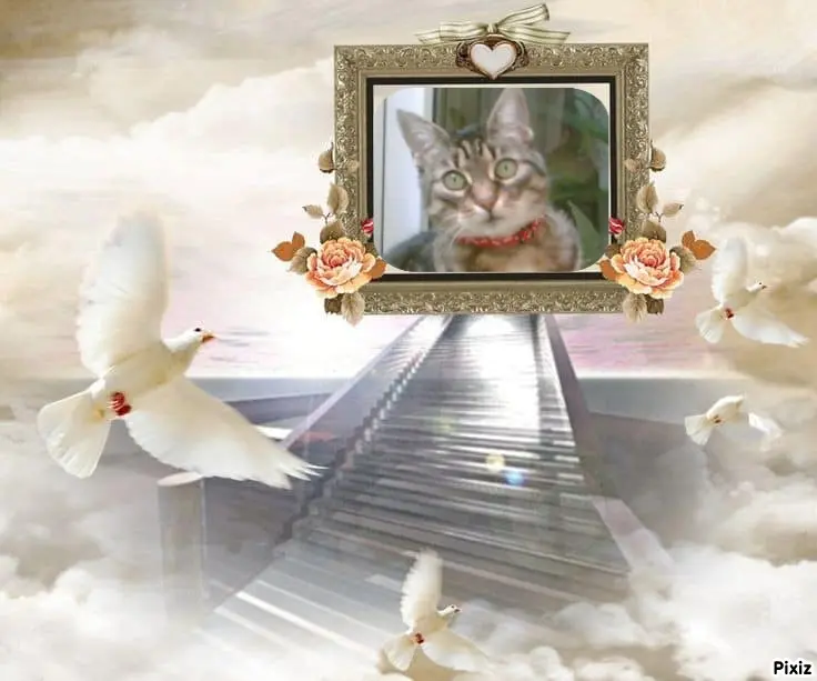 Andachtsbild von Tanja mit Timmy im Herzen