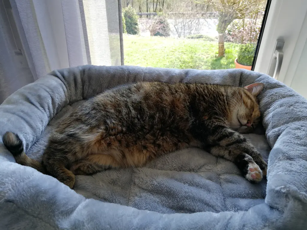 Andachtsbild von Daniela mit Pauline im ♥️ (+27.05.2021)