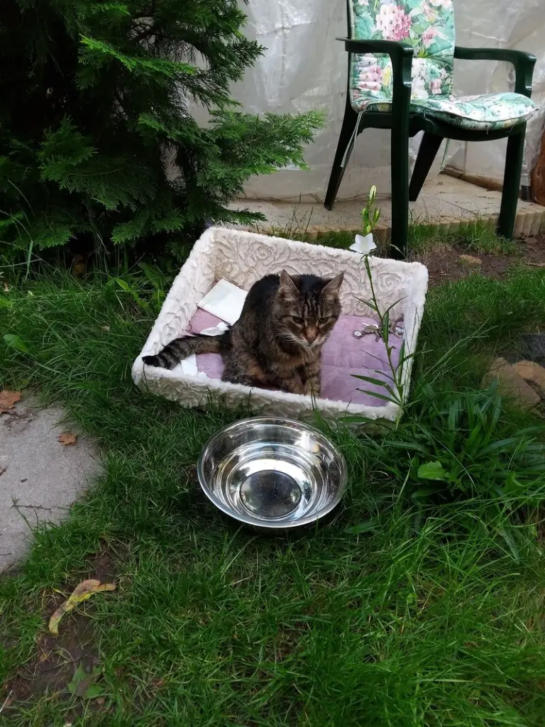 Andachtsbild von Mein liebstes kleines Sonnele ♥️