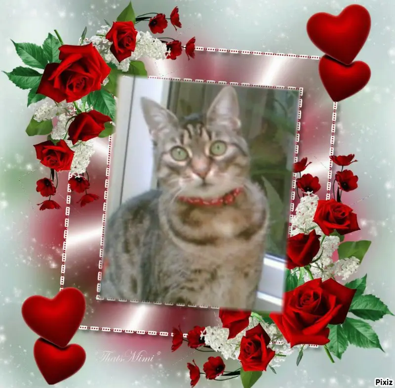 Andachtsbild von Tanja mit Timmy im Herzen 